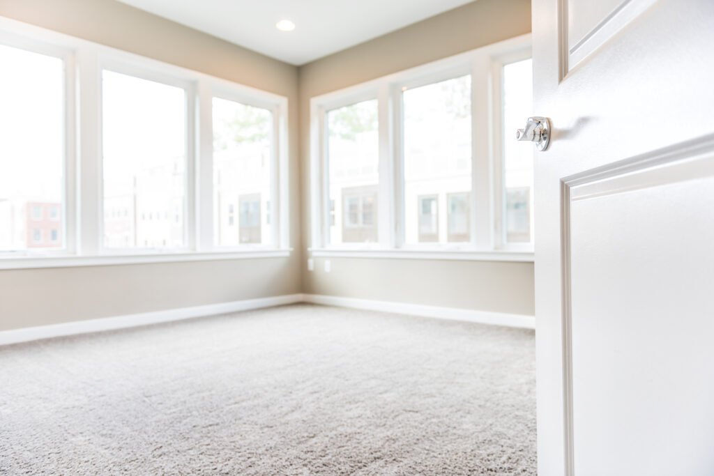 Professionally cleaned carpet in a bright living room, showing fresh, deep-clean results.